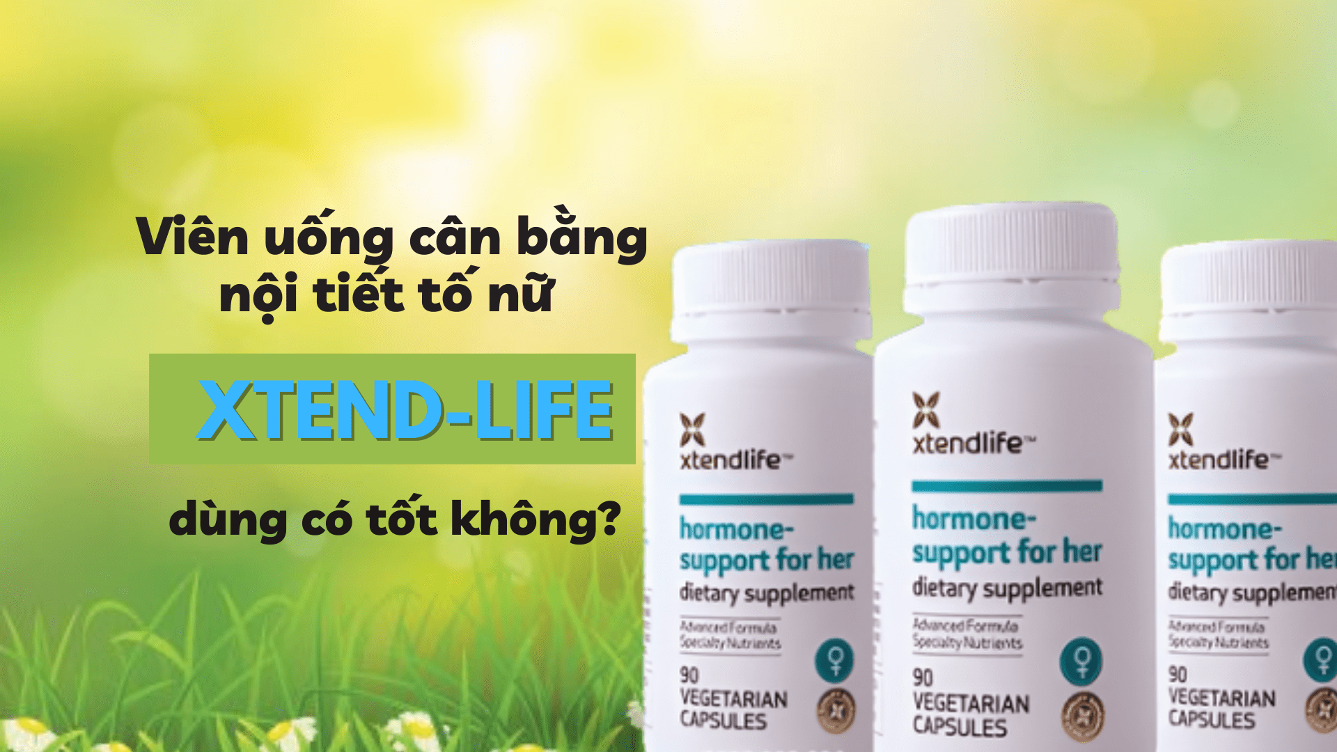 Nội tiết tố là gì? Viên uống tăng nội tiết nữ XtendLife có tốt không? | Xtend-Life Vietnam