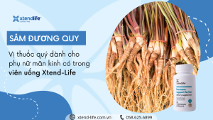 Chọn Sâm đương quy – Vị thuốc quý dành cho phụ nữ mãn kinh có trong viên uống Xtend-Life Sâm đương quy – Vị thuốc quý dành cho phụ nữ mãn kinh có trong viên uống Xtend-Life