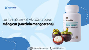 Lợi ích sức khoẻ và công dụng của Măng cụt (Garcinia mangostana)