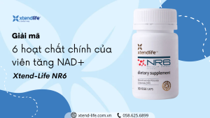 Giải mã 6 hoạt chất chính của viên tăng NAD+ Xtend-Life NR6