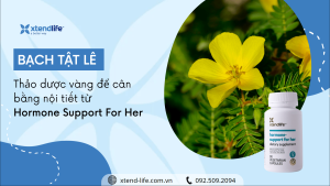 Chọn Bạch Tật Lê: Thảo dược vàng để cân bằng nội tiết từ Hormone Support For Her Bạch Tật Lê: Thảo dược vàng để cân bằng nội tiết từ Hormone Support For Her