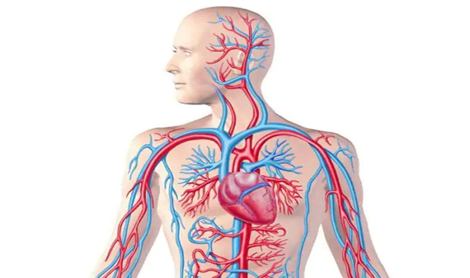 7-nen-tang-suc-khoe-uu-viet-tu-vitamin-tong-hop-total-balance-womens-premium 4